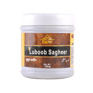 Labub Sagheer